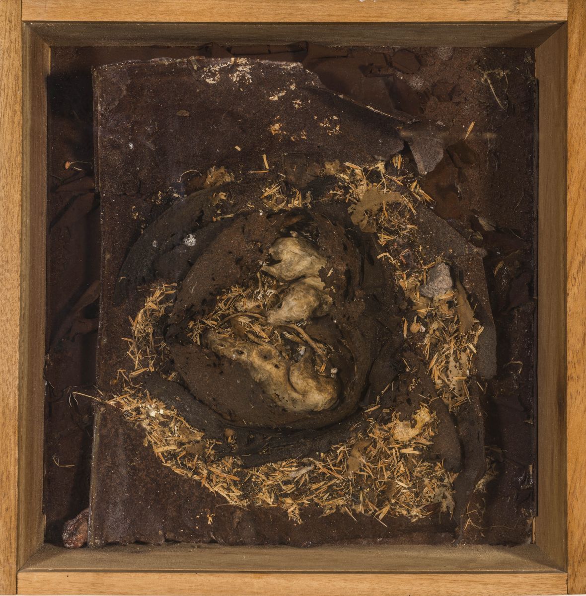 Daniel Spoerri, Rat’s Nest, 1977. Assemblage, 43 x 42,5 x 12,7 cm. Kunsten Museum of Modern Art Aalborg © Daniel Spoerri und Bildrecht, Wien 2021. Foto: © Niels Fabaek