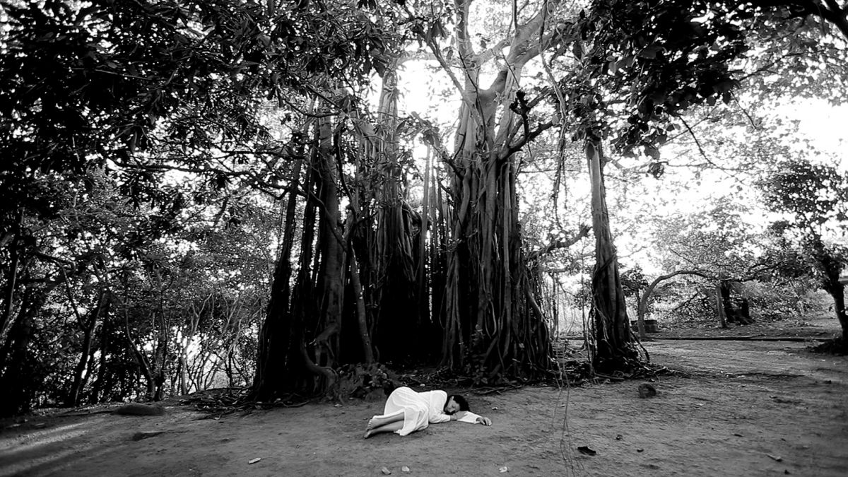 Marina Abramović Sleeping Under the Banyan Tree, 2010 Performance für Video, 56 Minuten 43 Sekunden Courtesy of the Marina Abramović Archives, and Sean Kelly Gallery, New York © Marina Abramović. Image courtesy of Marina Abramović Archives